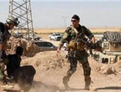 آغاز عملیات آزادسازی منطقه سنجار عراق