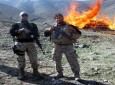 بیش از ۱۸ تُن مواد مخدر و مشروبات الکلی در کابل آتش زده شد