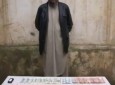 مسئول مالی طالبان در ولایت تخار بازداشت شد