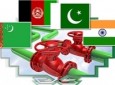 واکنش مجلس سنا به اظهار وزیر دفاع پاکستان؛ پاکستان حامی تروریسم در افغانستان است