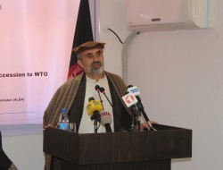 استقبال از افتتاح پروژه تاپی و الحاق افغانستان به سازمان جهانی تجارت