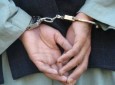 دستگیری یک فرد با مقادیری مهمات در هرات