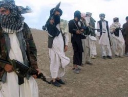 امریکا خواستار همکاری پاکستان و افغانستان برای مبارزه با طالبان شد