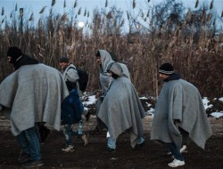 آلمان مانع ورود ۱۰ درصد از پناهجویان می‌شود