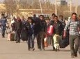 اقامت بیش از ۹۰۰ هزار افغانستانی در ایران