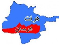 پاسخ کوبنده نیروهای دولتی به مهاجمان طالبان در هرات