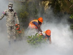 زیکا ممکن است به تهدیدی خطرناکتر از ابولا بدل شود
