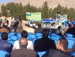 کاشت ۲۵۰ هزار بوته زینتی در ولایت هرات