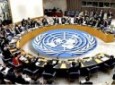 شورای امنیت، حملات ترکیه به خاک سوریه را بررسی می کند