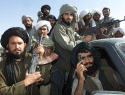 طالبان او نوی ستونزی