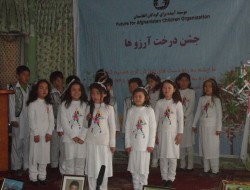 بهار جدید کودکان با " درخت آرزوها" امروز در بلخ پر بار شد