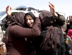 آزادی بیش از ۳۰ اسیر ایزدی از دست داعش