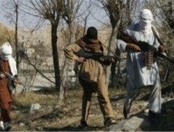 سخنگوی ارتش: فرمانده ارشد گروه طالبان در شیندند تسلیم دولت شد/امنیت ملی برای پیدا کردن فرمانده طالبان جایزه تعیین کرد