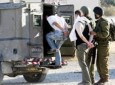 بازداشت ۱۱ فلسطینی در کرانه باختری/منع ۲۰۰ نفر از اقامه نماز جمعه