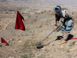 ۱۵ کارمند یک موسسه ماین روب در هرات ربوده شدند