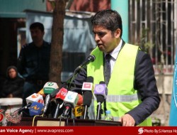 به هدف سرسبزی شهر کابل؛ وزارت معارف یک هزار نهال غرس می کند