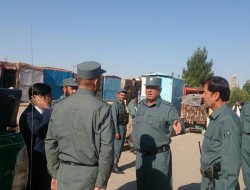 عملیات جمع آوری معتادها در هرات آغاز شد