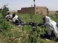یک فرمانده محلی طالبان  در زابل کشته شد