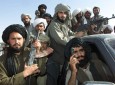 القاعده همکاری نزدیکی با طالبان را آغاز کرده است