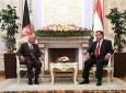 تصاویر/ استقبال امامعلی رحمان رئیس جمهور تاجیکستان از رئیس جمهور غنی  