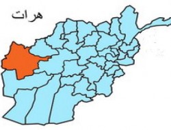 کشته و زخمی شدن هفتاد و پنج تروریست در ولایت هرات