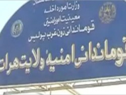 بازدید معین ارشد امور امنیتی وزارت داخله از فرماندهی پلیس هرات