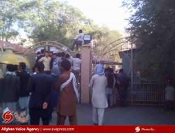 دانشجویان شرعیات با بستن دروازه دانشگاه کابل خواستار تعطیلی شدند/ کارشناسان: دانشجویان به عوض تعطیلی جامعه خود را اصلاح کنند