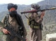 فعالیت مجدد شبکه القاعده در افغانستان و پاکستان