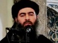 انتشار خبر زخمی شدن «ابوبکر البغدادی» در مرزهای سوریه و عراق