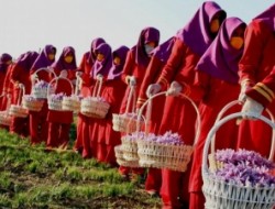 رئیس جمهور خواستار ایجاد کمیته‌ای برای بازاریابی زعفران افغانستان شد/ زراعت اساس ثبات افغانستان را تشکیل می‌دهد