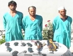 یک گروه هشت نفری از تروریستان در ولایت ننگرهار بازداشت شد