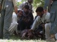 داعش در ننگرهار با کارد به جان کودکان افتاد/حمله خونین داعش در ولسوالی کوت ننگرهار