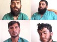 طالبانی که از مردم عشر دریافت می کردند دستگیر شدند