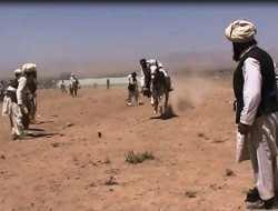 برگزاری مسابقات نیزه زنی از روی اسب با اشتراک 40 سوار کار در غزنی