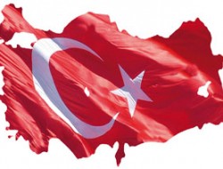 اساتید دانشگاه های  ترکیه‌ ممنوع الخروج شدند