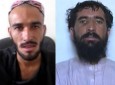دستگیری دو فرمانده برجسته طالبان در هلمند