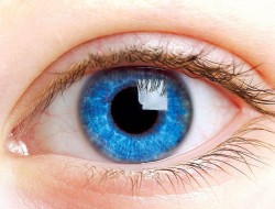 سلامتی چشمتان چقدر برایتان مهم است؟