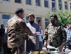 ۱۶ تن از مخالفین مسلح در هرات به پروسه صلح پیوستند