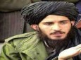 «ملایعقوب» پسر «ملا عمر» مسئول دفتر طالبان در قطر شد
