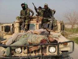 دو فرمانده محلی طالبان با ۳۱ تن دیگر در هلمند کشته شدند