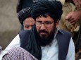 رهبر جدید شاخه انشعابی طالبان انتخاب شد