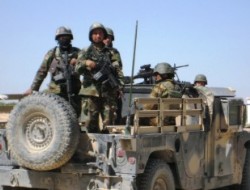 هلاکت 33 شورشی مسلح توسط نیروهای امنیتی کشور