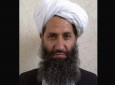 عدم حمایت گروه طالبان از «ملا هیبت الله» در هرات