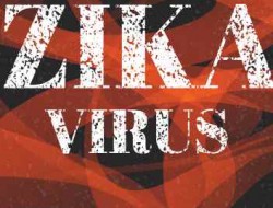 زنگ خطر شیوع "ویروس زیکا" در هند