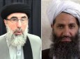 واکنش دوگانه طالبان به توافق صلح حکمتیار و دولت