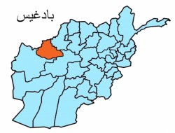 طالبان چهار تن را در بادغیس تیرباران کردند