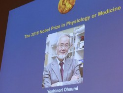 اهدای  جایزه نوبل به داکتر جاپانی