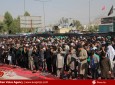 تصاویر/ اقامه نماز ظهر عاشورا در کابل  