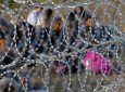 پنجاه و سه پناهجوی افغانستانی و پاکستانی در مرز مقدونیه بازداشت شده‌اند