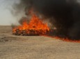 حريق حدود پنج تُن موادمخدر در هرات